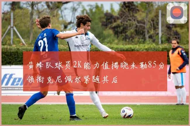 黄蜂队球员2K能力值揭晓米勒85分领衔克尼佩尔紧随其后